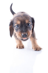 Similar image 1810029