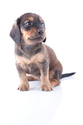 Similar image 1810030