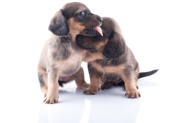 Similar image 1810031