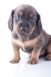 Similar image 1810032