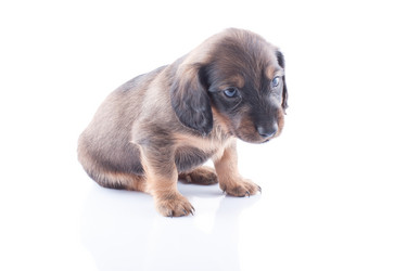 Similar image 1810033