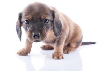 Similar image 1810035