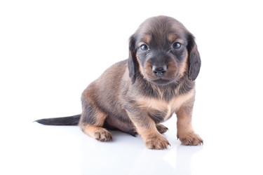 Similar image 1810039