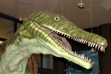 Similar image 1811186