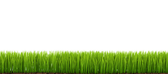 Similar image 1811589