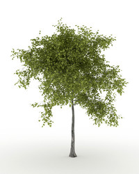 Similar image 1811595