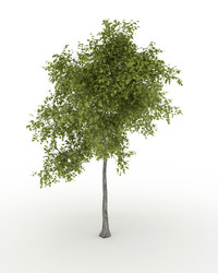 Similar image 1811597