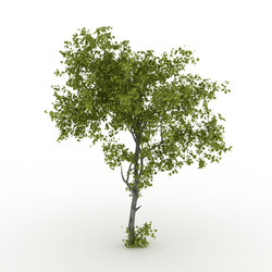 Similar image 1811602