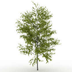 Similar image 1811605