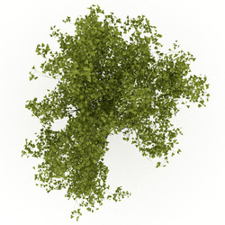 Similar image 1811608