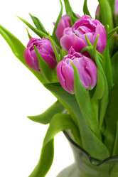 Similar image 1811626