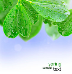 Similar image 1811630