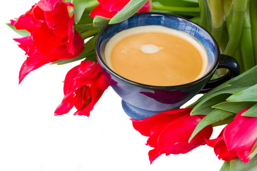 Similar image 1811635