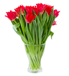 Similar image 1811639