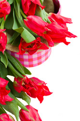 Similar image 1811640