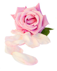 Similar image 1811646