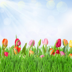 Similar image 1811654