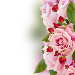 Similar image 1811669