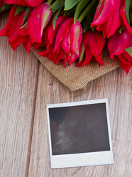 Similar image 1811670