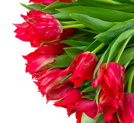 Similar image 1811672