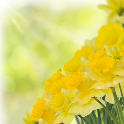 Similar image 1811673