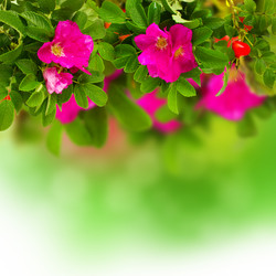 Similar image 1811682