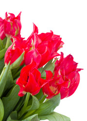 Similar image 1811684