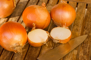 Similar image 1811690