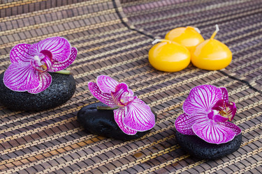 Similar image 1811695