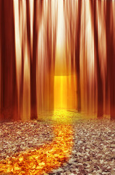 Similar image 1811723