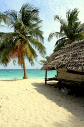 Similar image 1811800