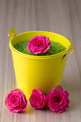 Similar image 1811816