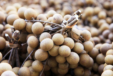 Similar image 1811825