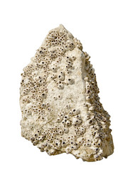 Similar image 1811831