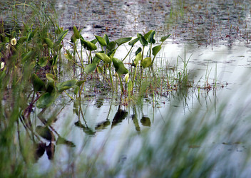 Similar image 1811869