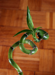 Similar image 1811871