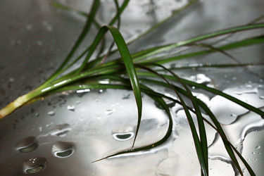 Similar image 1811925