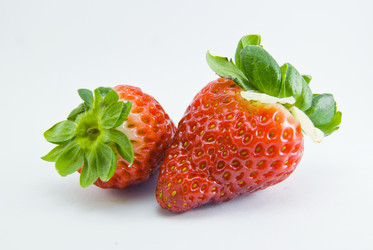 Similar image 1811973