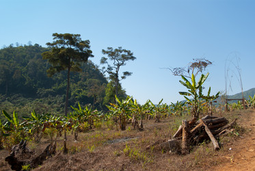 Similar image 1811975