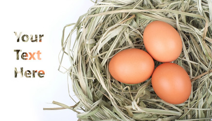 Similar image 1811986