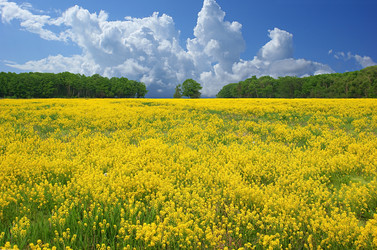 Similar image 1813965