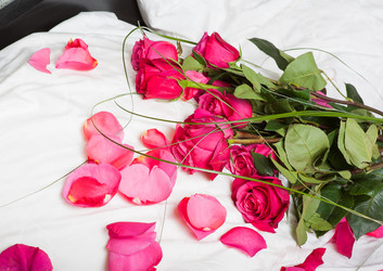 Similar image 1815610