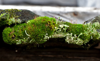 Similar image 1816113