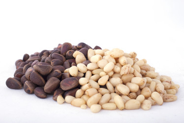 Similar image 1816197