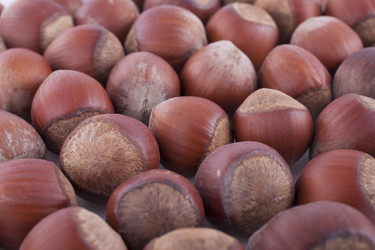 Similar image 1816200