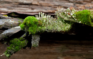 Similar image 1816203