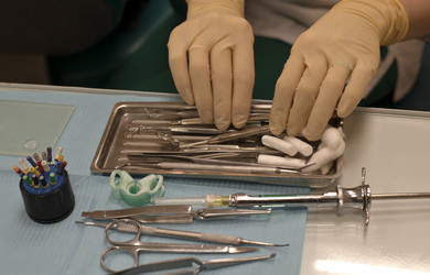 Similar image 1816280