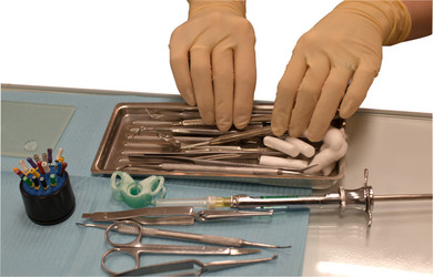 Similar image 1816284