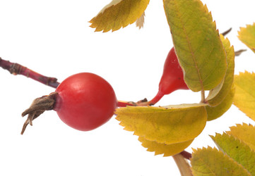 Similar image 1816357