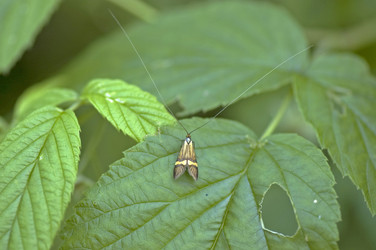 Similar image 1816804